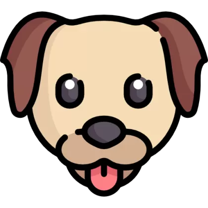 Animais e acessórios